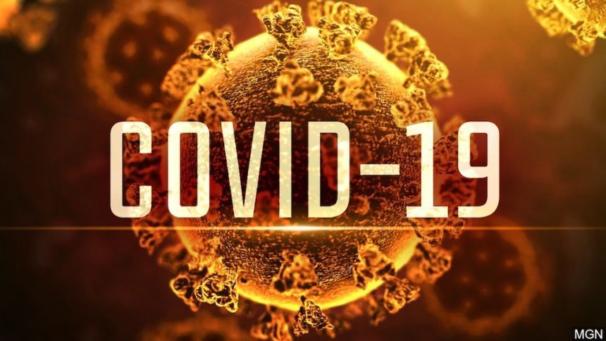 Picture of Covid Virus